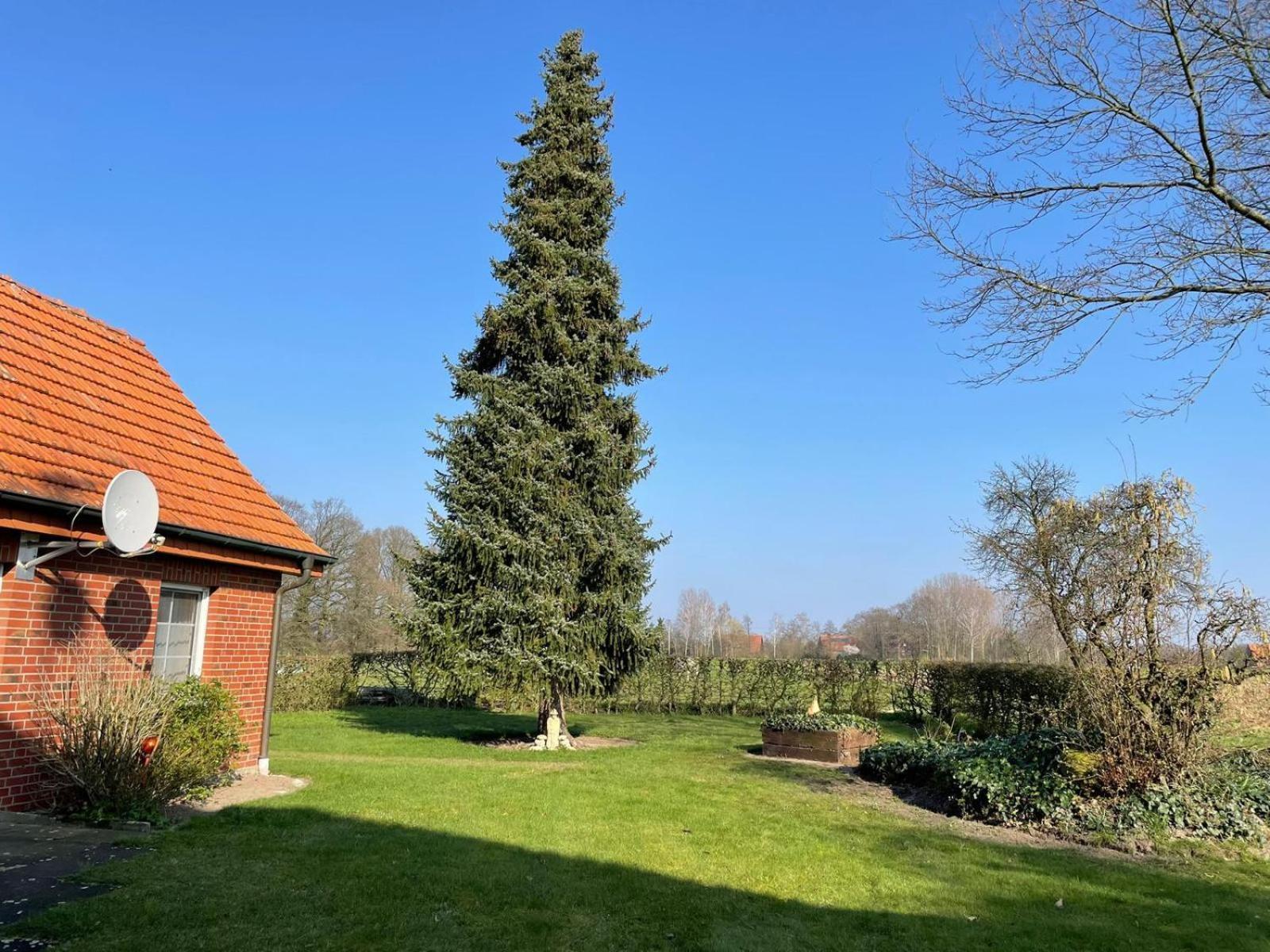 Ferienwohnung Kiebitzheide Beelen Buitenkant foto