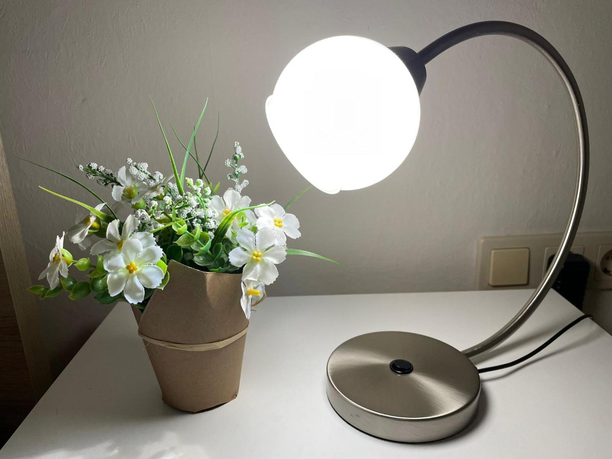 Ferienwohnung Kiebitzheide Beelen Buitenkant foto